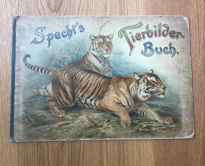 Specht - Specht´s Tierbilderbuch - 1898