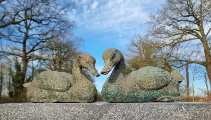 Statuette - A pair of lifelike ducks - Bronze