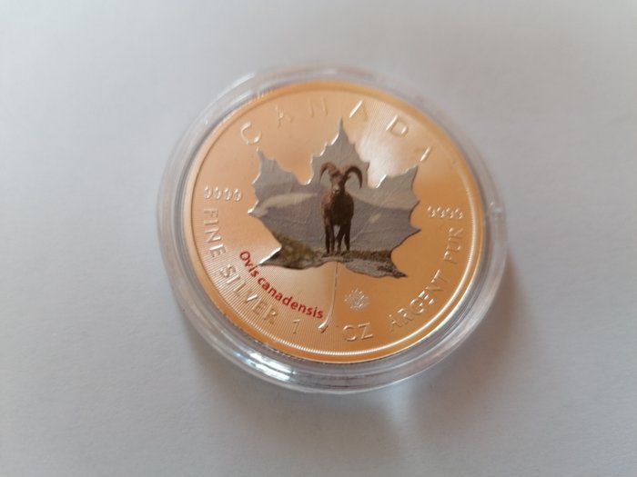 Canada. 5 Dollars 2014 Canadian Wildlife - Maple leaf Series - Cougar 7th + Big Horn Sheep 8th, 2x1 Oz (.999)