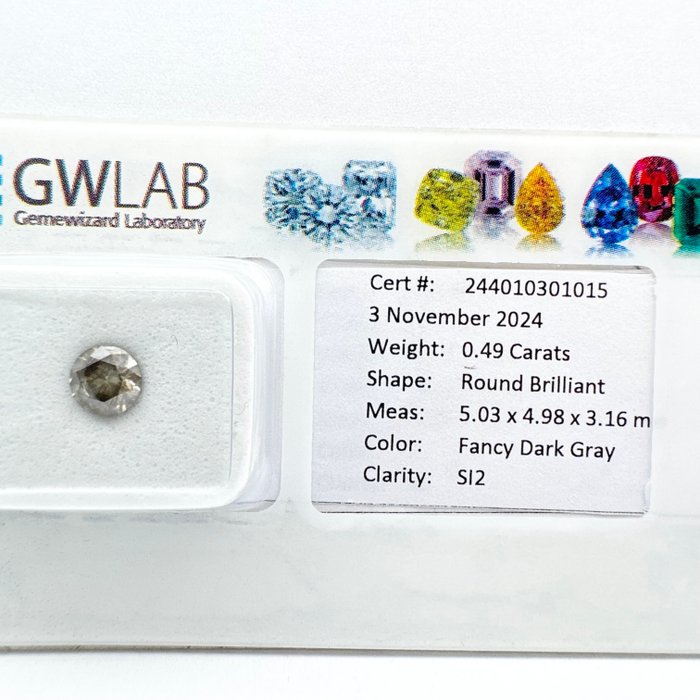 Ingen mindstepris - 1 pcs Diamant  (Naturfarvet)  - 0.49 ct - Rund - Fancy dark Grå - SI2 - Gemewizard Gemological Laboratory (GWLab)