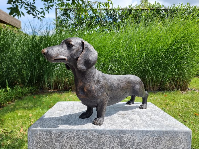 Statuette - Grote teckel hond - Bronze