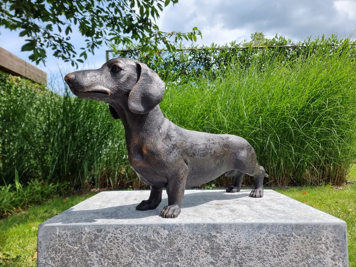 Statuette - Grote teckel hond - Bronze