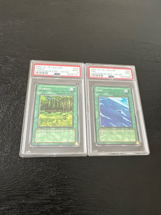 Konami - 2 Graded card - 1st Edition - Forest  Umi - Legend of Blue Eyes White Dragon - PSA 9