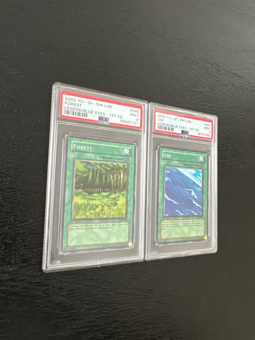 Konami - 2 Graded card - 1st Edition - Forest  Umi - Legend of Blue Eyes White Dragon - PSA 9