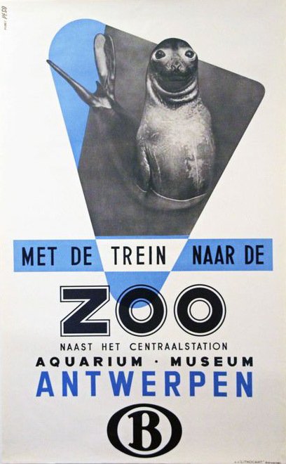 Studio Peso - ZOO Antwerpen zeeolifantje - 1950‹erne