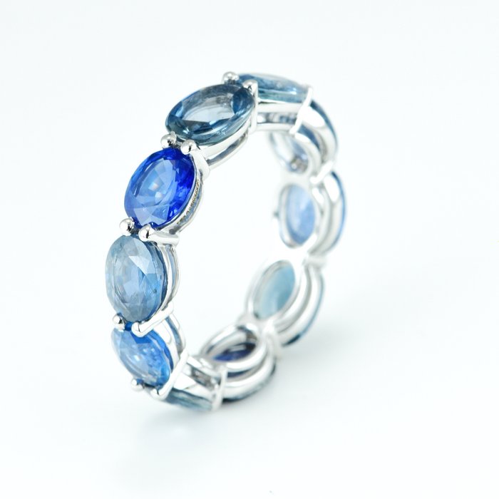 Ring - 14 karat Hvidguld -  787ct tw Safir - Eksklusivt Sapphire Band