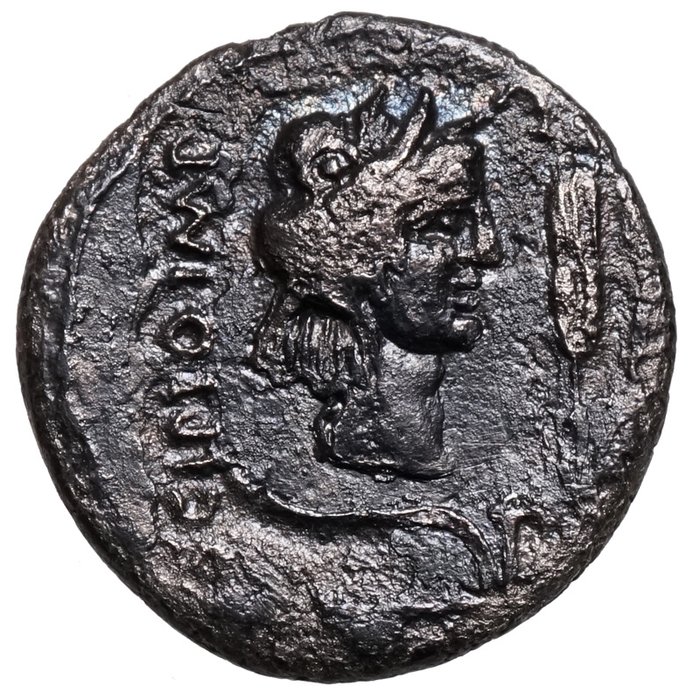 Romerska republiken. Q. Caecilius Metellus Pius Scipio, 47-46 f.Kr.. Denarius AFRIKA in Elefantenfell / HERKULES