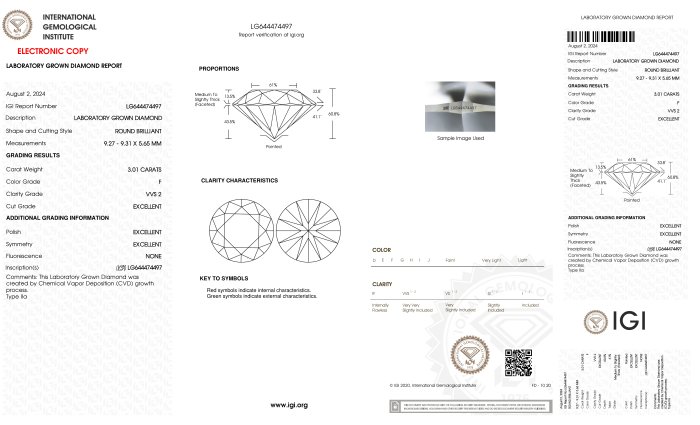 Øreringe - 18 kraat Hvidguld -  6.02ct. tw. Diamant (Laboratoriedyrket) - Runde F-VVS2