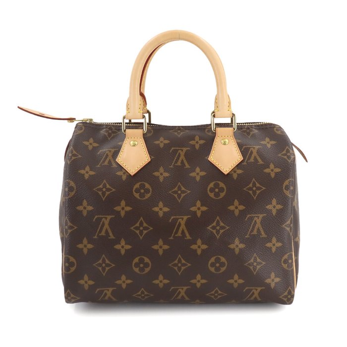 Louis Vuitton - Håndtaske