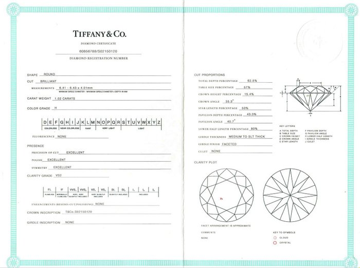 Tiffany  Co - Ring - 18 kraat Hvidguld -  132ct tw Diamant (Natur)  - Diamant