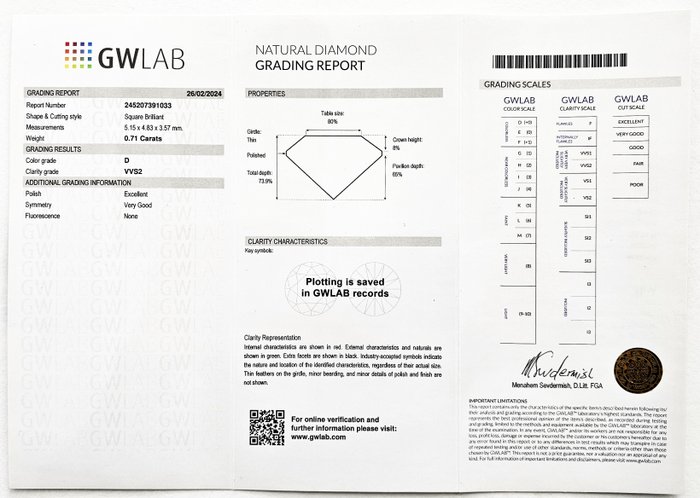 1 pcs Diamant  (Natur)  - 0.71 ct - Kvadrat - D (farveløs) - VVS2 - Gemewizard Gemological Laboratory (GWLab) - Princess Cut