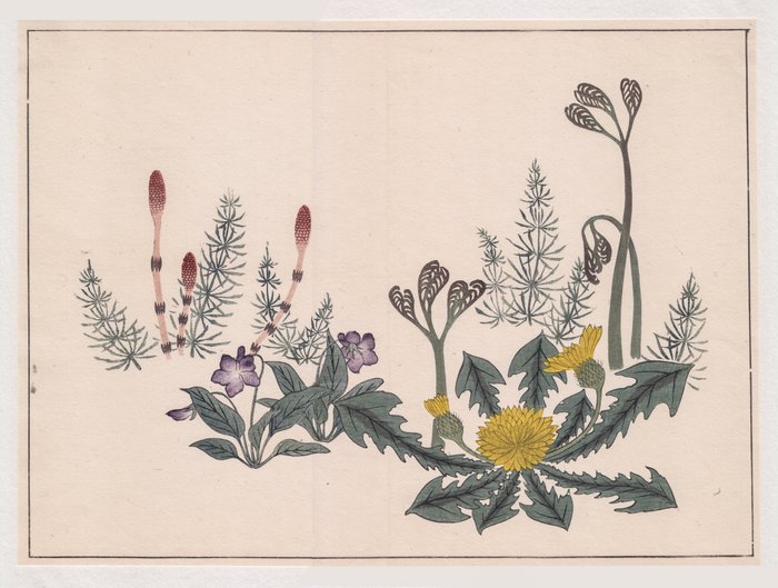 "Bracken, Dandelion, Violet and Horsetails" - From the Ehon: 'Flowers of the Four Season' - Sakai Hoitsu (1761 - 1828) - Japan