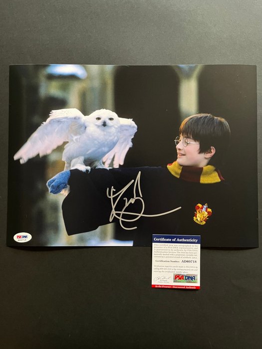 Harry Potter and the Philosopher's Stone, Daniel Radcliffe (Harry) - Signed in Person - with PSA/DNA Certificate - Autograph, photo - No Reserve!