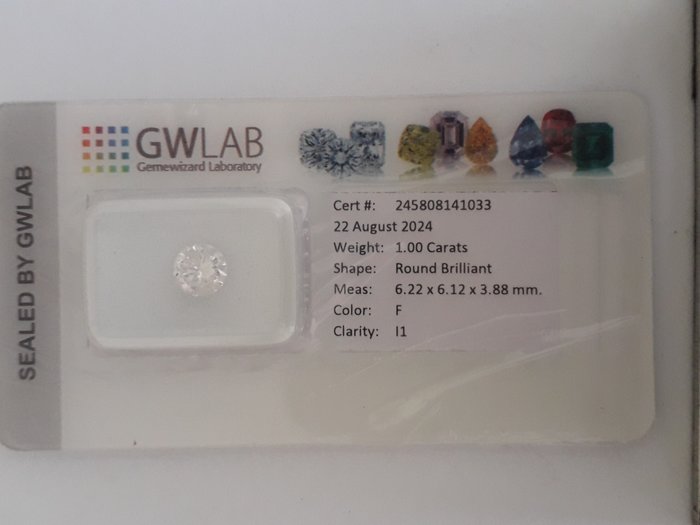 Ingen mindstepris - 1 pcs Diamant  (Natur)  - 1.00 ct - Rund - F - I1 - Gemewizard Gemological Laboratory (GWLab)