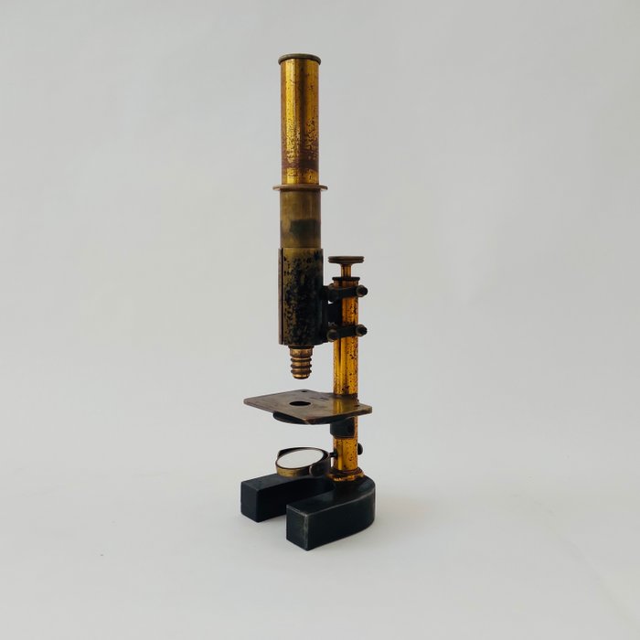 Monocular compound microscope - 23363 - 1850-1900 - Østrig - Reichert