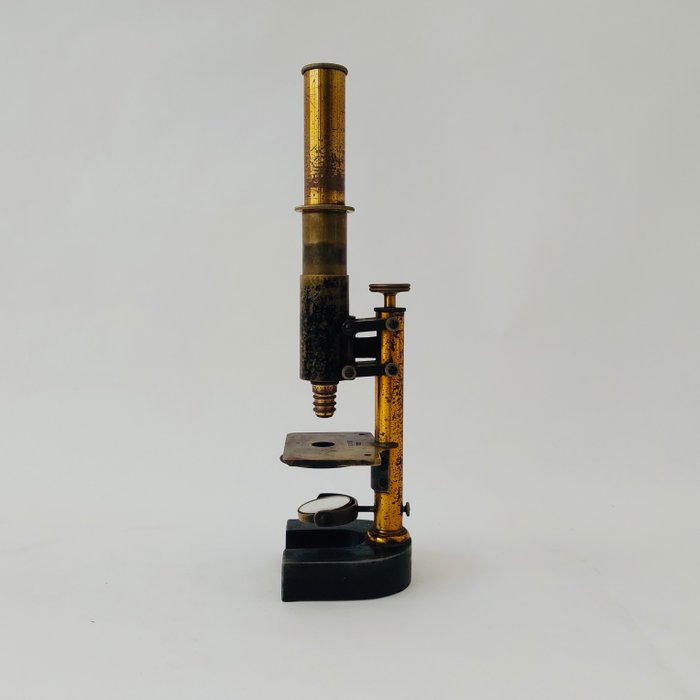 Monocular compound microscope - 23363 - 1850-1900 - Østrig - Reichert