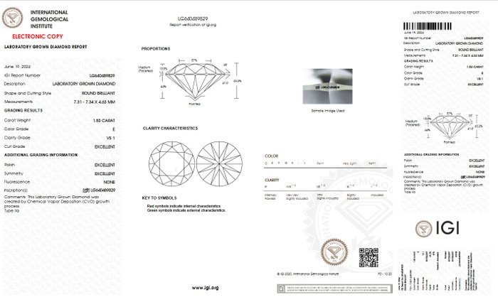 Ingen mindstepris - Øreringe - 14 karat Hvidguld -  3.05ct. tw. Diamant (Laboratoriedyrket) - E VS1 IGI-certificeret