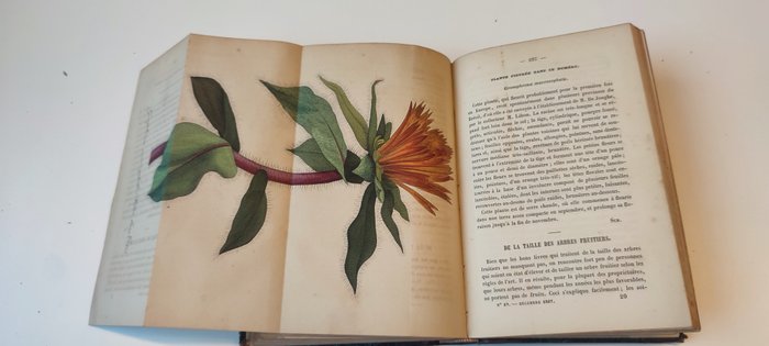 M. Scheidweiler - Journal d'horticulture pratique ou guide des amateurs et jardiniers. - 1844-1848