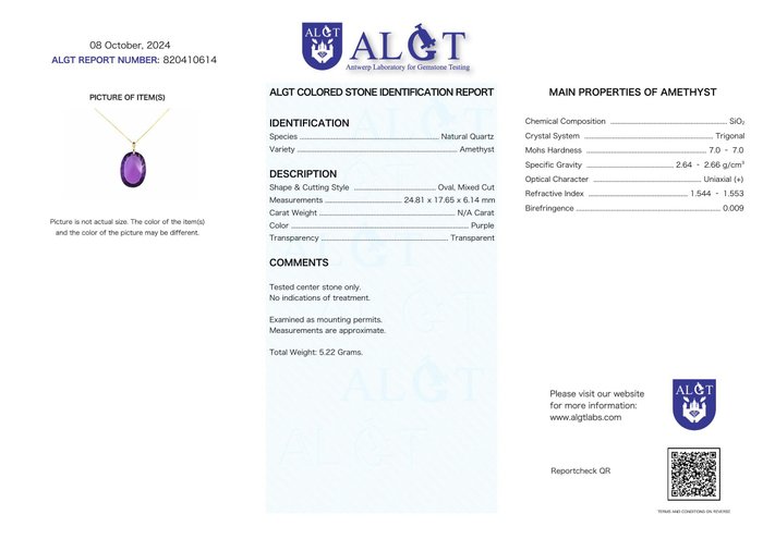 Ingen mindstepris - Halskæde med vedhæng - 18 kraat Gulguld Ametyst - ALGT Certificeret