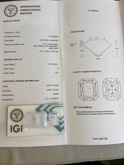 1 pcs Diamant  (Natur)  - 1.00 ct - Radiant - G - SI2 - International Gemological Institute (IGI)