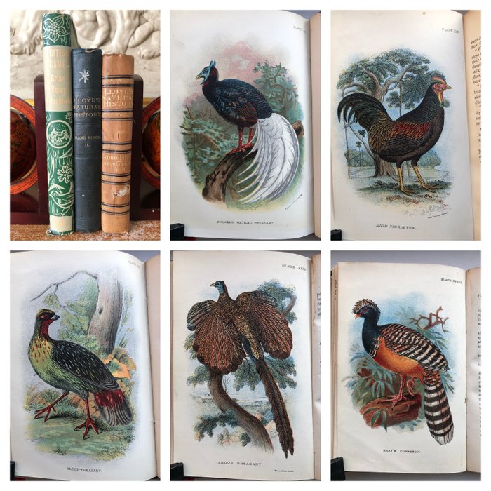 W R Ogilvie-Grant  Brian Vesey Fitzgerald - A Hand-Book to the Game Birds [Volume 1 -2]  British Game - 1896-1956