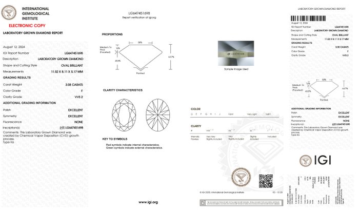 Ring - 18 kraat Hvidguld -  3.08ct. tw. Diamant (Laboratoriedyrket) - Oval F-VVS2