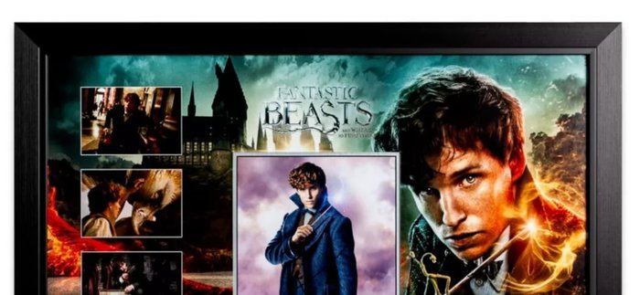 Fantasic Beasts - Signed by Eddie Redmayne (Newt Scamander)