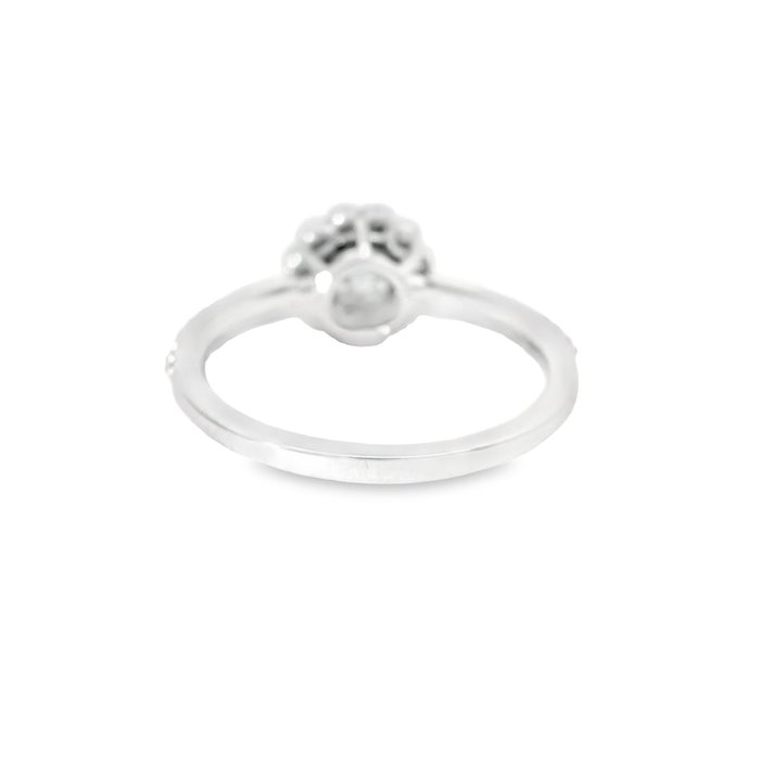 Ring - 18 kraat Hvidguld -  0.68ct. tw. Diamant (Natur) - Diamant