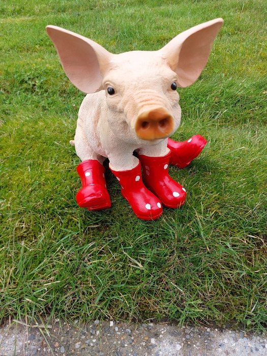 Statue young pig with boots - 29 cm - polyresin