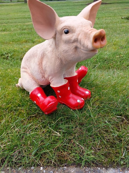 Statue, young pig with boots - 29 cm - polyresin