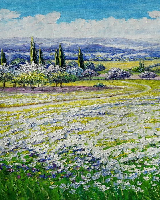 Clelia Molinari - Spring Fields