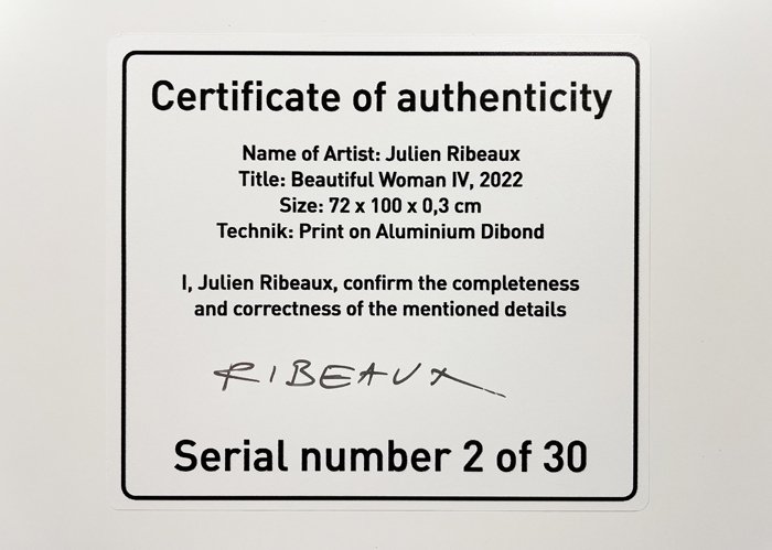 Julien Ribeaux - Beautiful Woman IV