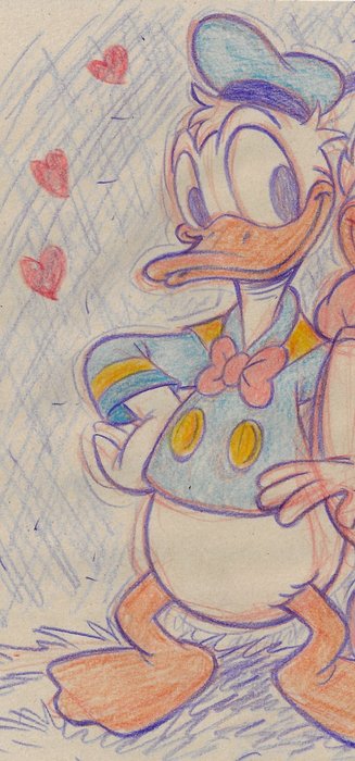 Millet - 1 Colour pencil drawing - Donald Duck - 2024