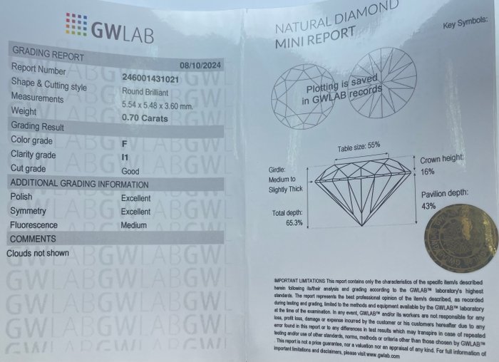 Ingen mindstepris - 1 pcs Diamant  (Natur)  - 0.70 ct - Rund - F - I1 - Gemewizard Gemological Laboratory (GWLab)