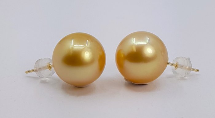 Øreringe - 14 karat Gulguld - 12x13mm South Sea Pearls