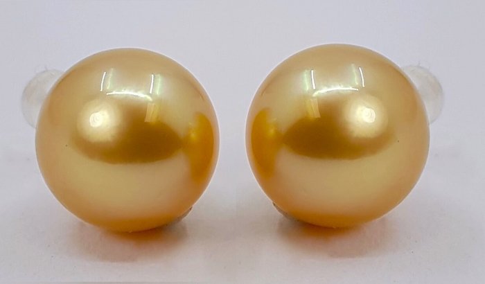 Øreringe - 14 karat Gulguld - 12x13mm South Sea Pearls