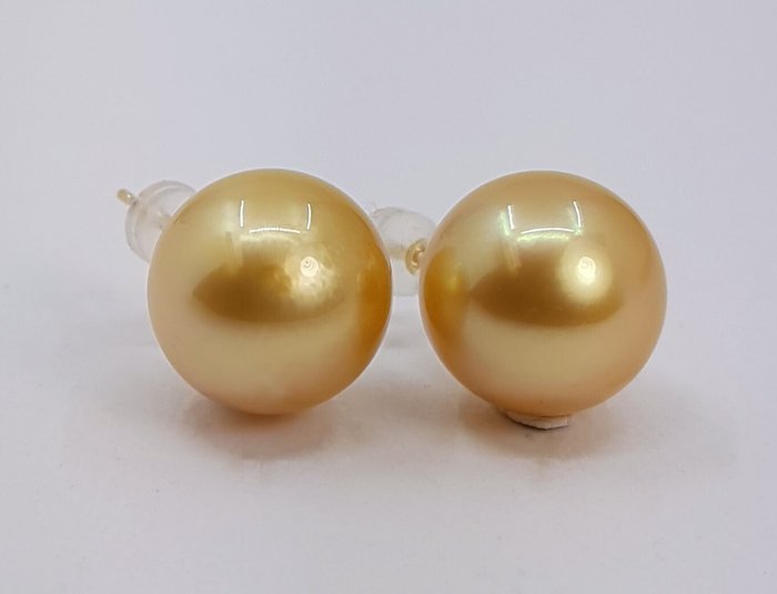 Øreringe - 14 karat Gulguld - 12x13mm South Sea Pearls