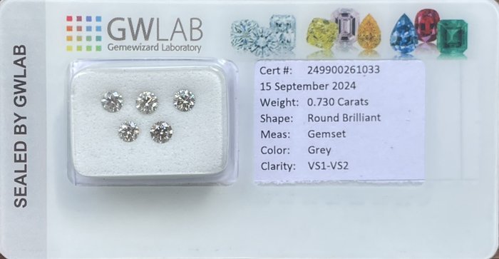 Ingen mindstepris - 5 pcs Diamant  (Natur)  - 0.73 ct - Rund - VS1, VS2 - Gemewizard Gemological Laboratory (GWLab) - Grå