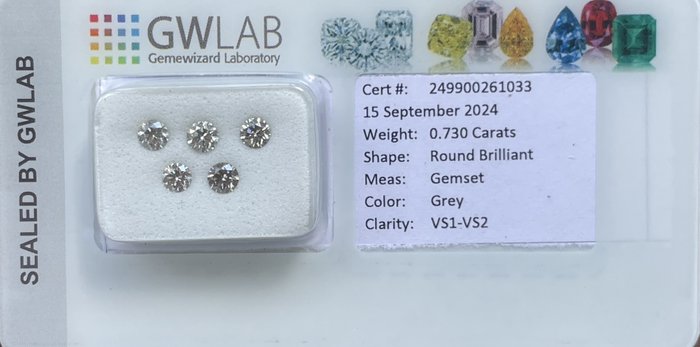 Ingen mindstepris - 5 pcs Diamant  (Natur)  - 0.73 ct - Rund - VS1, VS2 - Gemewizard Gemological Laboratory (GWLab) - Grå