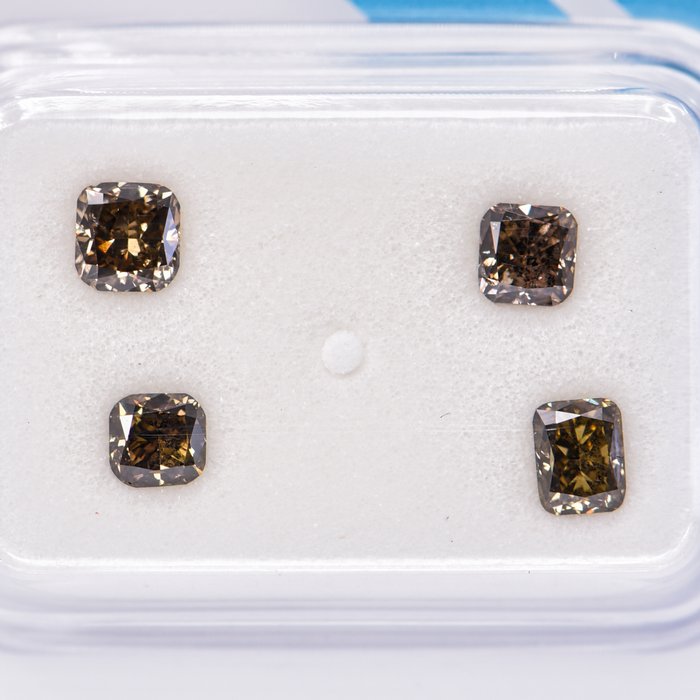 Ingen mindstepris - 4 pcs Diamant  (Naturfarvet)  - 1.03 ct - Pude - Fancy dark, Fancy deep Brun, Grønlig Gul - SI1 - International Gemological Institute (IGI)