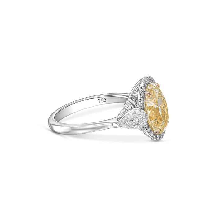 Statement-ring - 18 kraat Hvidguld -  391ct tw Diamant (Natur)