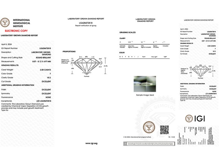 Øreringe - 14 karat Hvidguld -  4.01ct. tw. Diamant (Laboratoriedyrket)