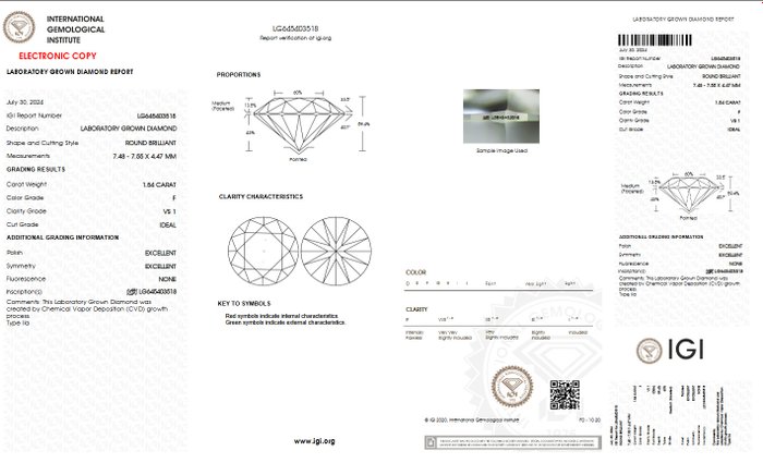 Ingen mindstepris - Ørestikkere - 14 karat Gulguld -  310ct tw Diamant (Laboratoriedyrket) - E VVS IGI CERTIFICERT