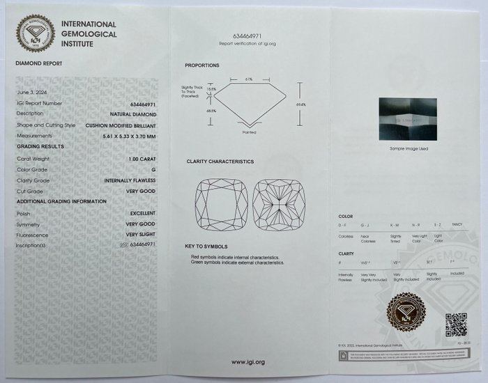 1 pcs Diamant  (Natur)  - 1.00 ct - Pude - G - IF - International Gemological Institute (IGI)