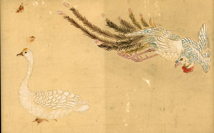 Emakimono scroll 絵巻物  虫と鳥影 Mushi to choei -  Insects and shadows of birds - Unknown after Taki Katei (瀧和亭  1830 – 1901) - Japan - Edo-perioden (1600-1868)