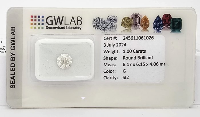 1 pcs Diamant  (Natur)  - 1.00 ct - Rund - G - SI2 - Gemewizard Gemological Laboratory (GWLab)