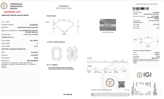 Ingen mindstepris - Ring - 14 karat Hvidguld -  4.82ct. tw. Diamant (Laboratoriedyrket) - G VVS2 IGI