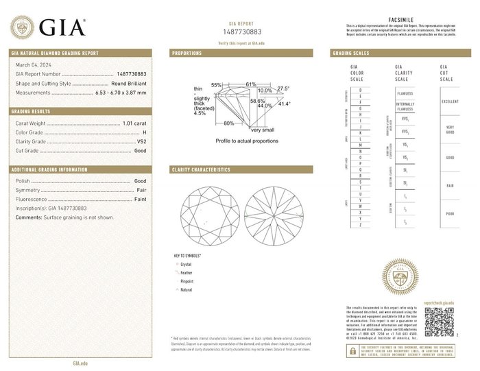 1 pcs Diamant  (Natur)  - 1.01 ct - Rund - H - VS2 - Gemological Institute of America (GIA)