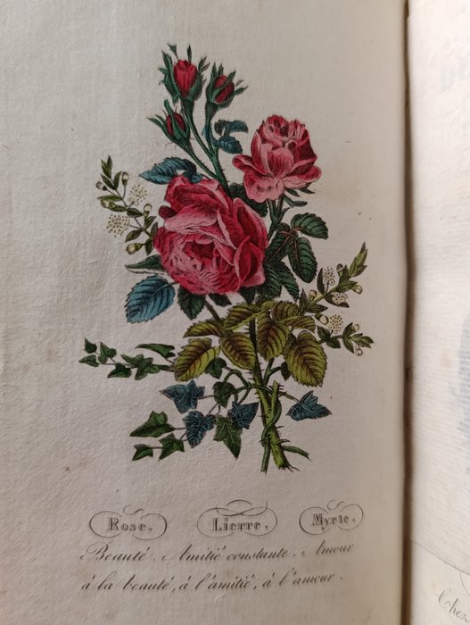 Louis-Aimé Martin - Le langage des fleurs - 1840