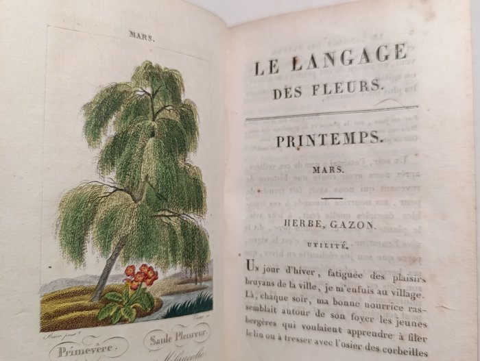 Louis-Aimé Martin - Le langage des fleurs - 1840